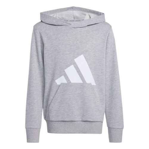 Picture of Essentials Hoodie Kids