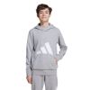 Picture of Essentials Hoodie Kids