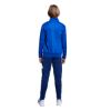 Picture of Kids Essentials Climacool Tracksuit