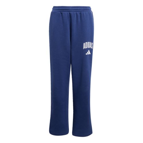 Picture of Seasonals Essentials Collegiate Typography Pant Kids