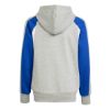 Picture of Seasonal Essentials Colorblock Fleece Tracksuit