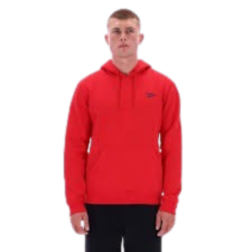 Picture of Noah Small Logo Hoodie