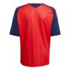 Picture of Spain 26 Home Youth Jersey