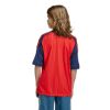 Picture of Spain 26 Home Youth Jersey