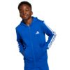 Picture of Kids Essentials Full-Zip Hoodie