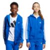 Picture of Kids Essentials Full-Zip Hoodie