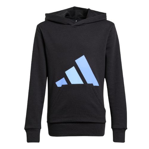 Picture of Kids Essentials Hoodie
