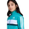 Picture of Kids Seasonal Essentials Tiberio 3-Stripes Tricot Tracksuit