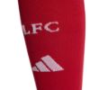 Picture of Liverpool FC 2025/26 Home Socks
