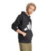 Picture of Essentials Fleece Big Logo Hoodie
