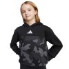 Picture of Little Kids Seasonal Essentials Camo Fleece Jogger Set