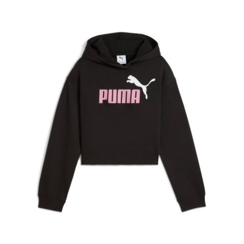 Picture of ESS 2 COLOR Logo Hoodie