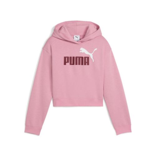 Picture of ESS 2 COLOR Logo Hoodie