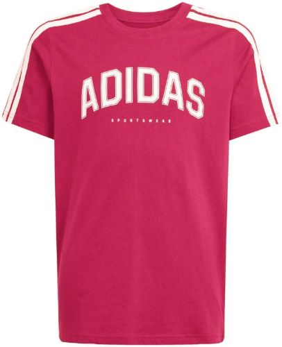 Picture of Kids Codes Collegiate Graphic T-Shirt