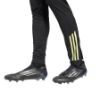 Picture of Juventus Tiro25 Competition Training Pants