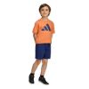 Picture of Little Kids Essentials T-Shirt Set
