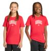 Picture of Kids Collegiate Graphic T-Shirt