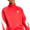Picture of Stadium Tracktop