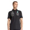 Picture of Mercedes - AMG Petronas Formula 1 Team Engineers Polo