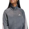 Picture of Stadium Tracktop