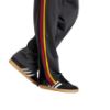 Picture of Adicolor Classics Firebird Trackpants