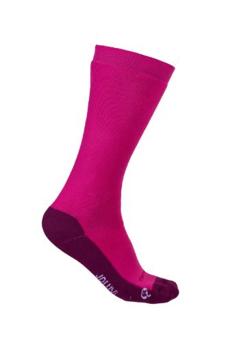 Picture of Thermolite Classic Socks 2 Pairs
