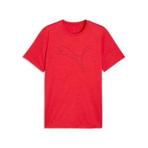 Picture of Train All Day Essentials Heather Cat T-Shirt