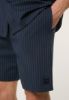 Picture of Lucca Pinstripe Shorts