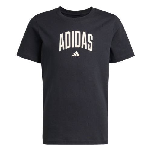 Picture of Kids Collegiate Graphic T-Shirt