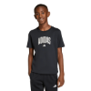 Picture of Kids Collegiate Graphic T-Shirt