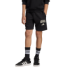 Picture of Kids Seasonals Collegiate Typography Shorts