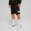 Picture of Boys Essentials No. 1 Logo Shorts
