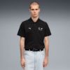 Picture of BMW M Motorsport Essentials Polo Shirt