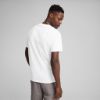 Picture of Wardrobe Essentials T-Shirt