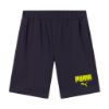 Picture of Essentials Graphic Jersey Shorts