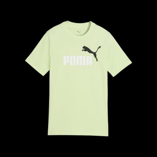 Picture of ESS 2 COLOR NO.1 LOG