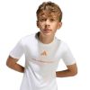 Picture of Boys T-Shirt