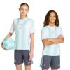 Picture of Kids Messi Training Jersey