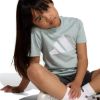 Picture of Little Kids Essentials T-Shirt Set