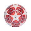 Picture of UEFA Womens Champions League Ball
