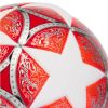 Picture of UEFA Womens Champions League Ball