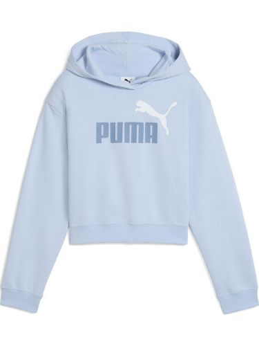 Picture of ESS 2 COLOR Logo Hoodie