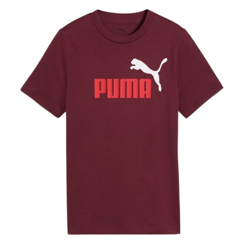 Picture of Boys Essentials 2 Colour No. 1 Logo T-Shirt