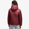 Picture of Essentials Hooded Padded Jacket