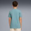 Picture of Boys Essentials No.1 Logo T-Shirt