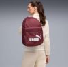 Picture of Phase Backpack 22L