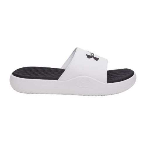 Picture of Ignite Pro 8 Fix Slides