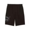 Picture of Camo 10-inch Shorts