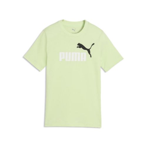 Picture of ESS 2 COLOR NO.1 LOG