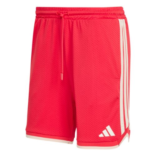 Picture of Stadium Mesh Shorts
